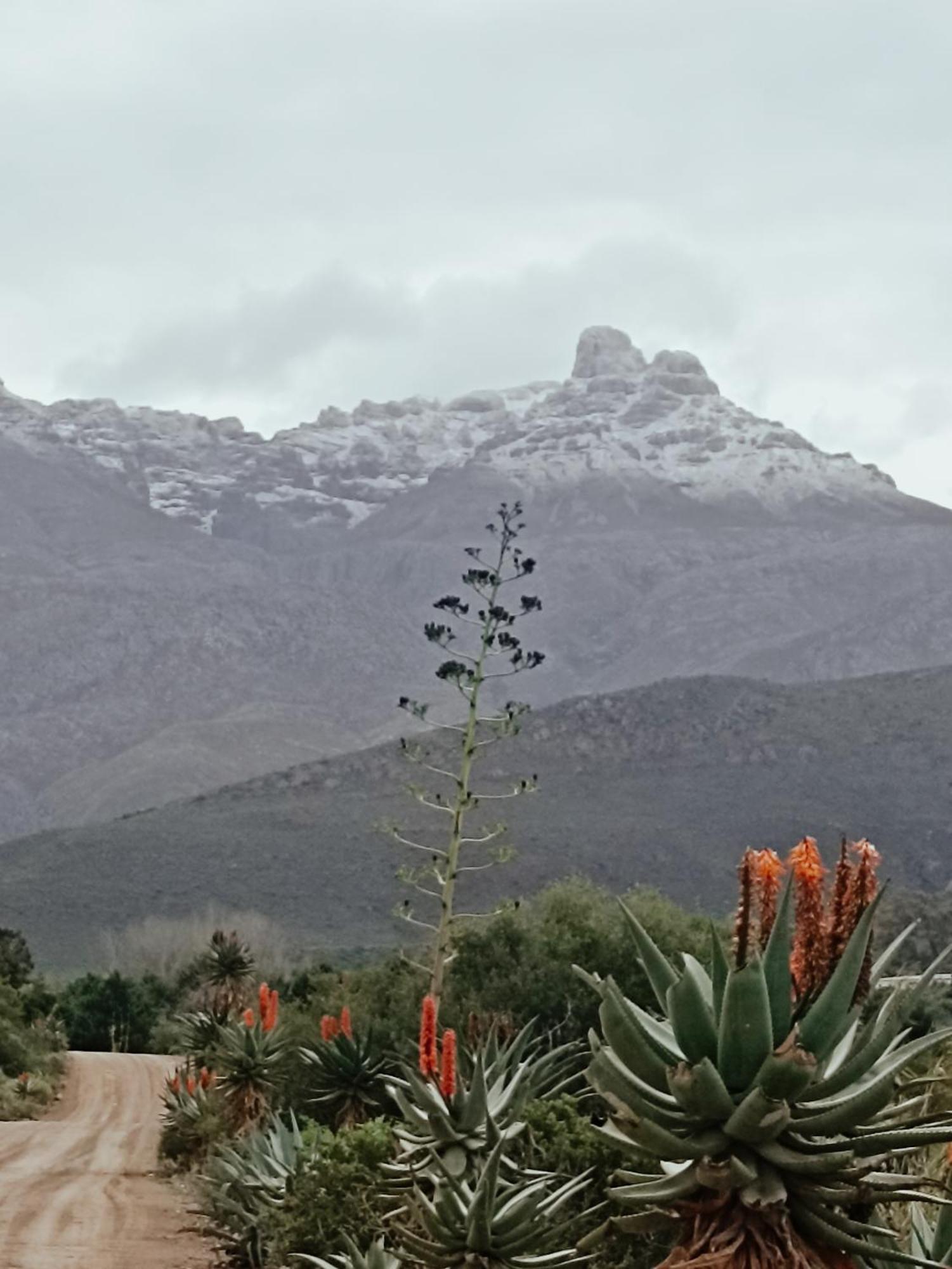 Sipreslaan Selfsorg Gastehuis Ladismith Bagian luar foto